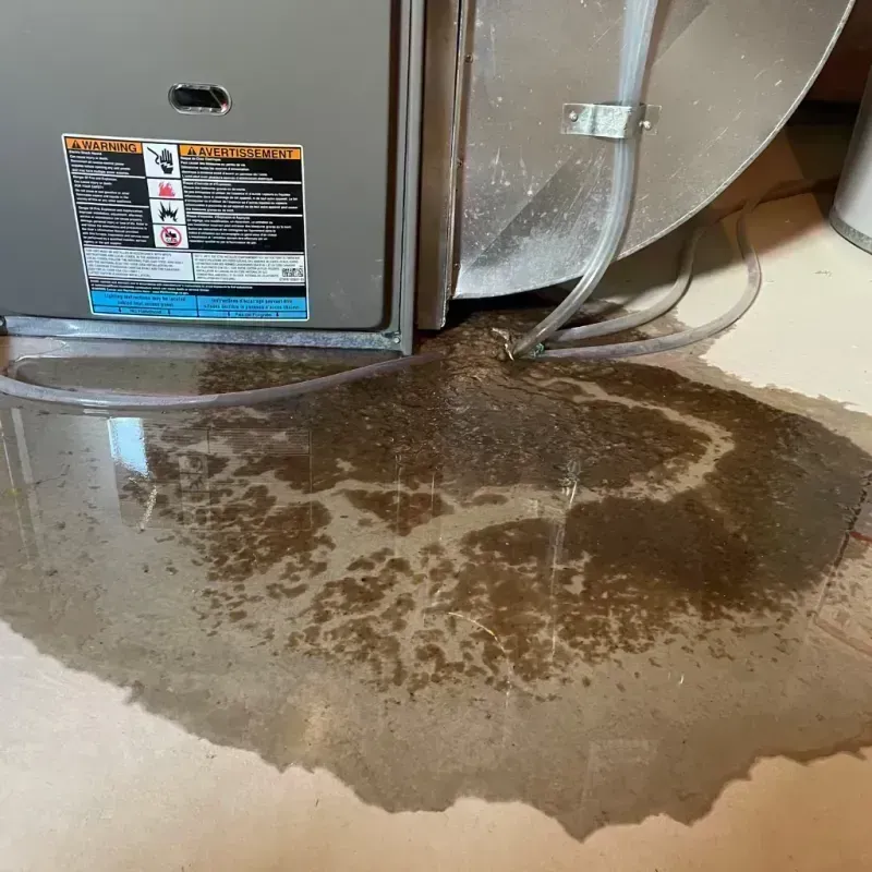 Appliance Leak Cleanup in Hebron, IL